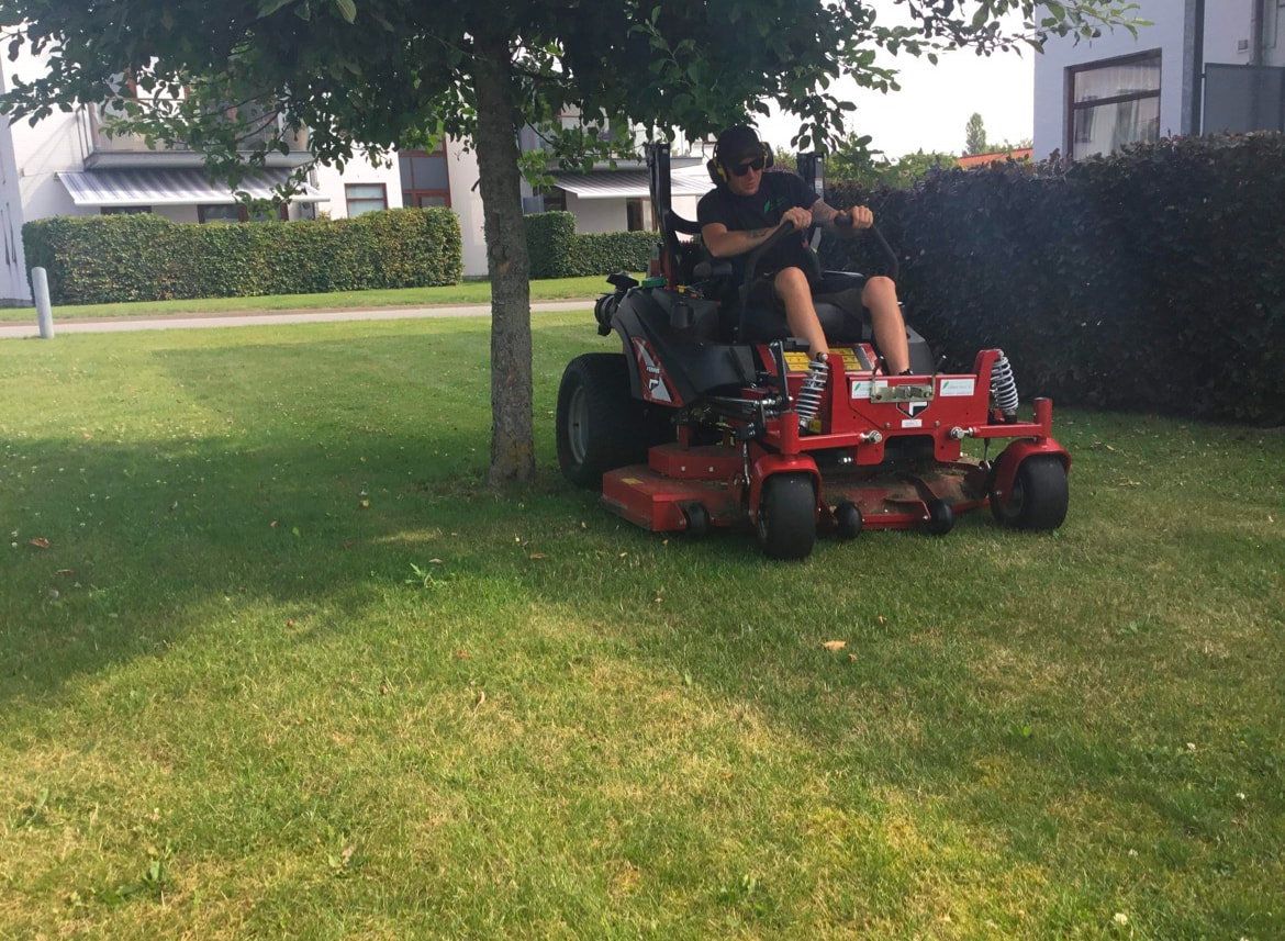 Sommervedligeholdelse